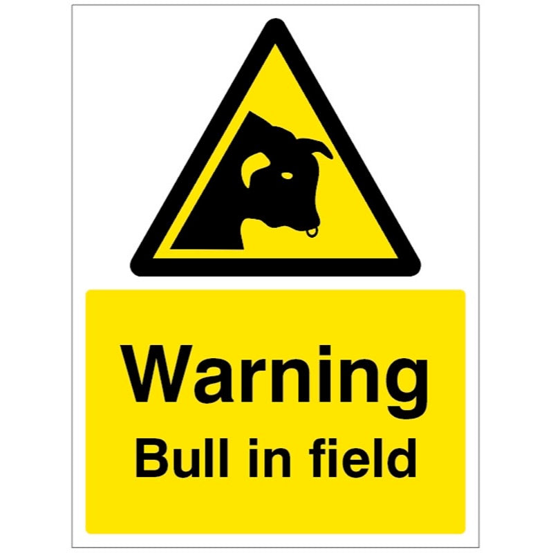 Warning Bull in field