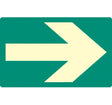 Way finding floor marker 175x110mm photoluminescent